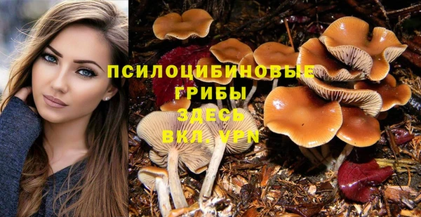 первитин Алексеевка