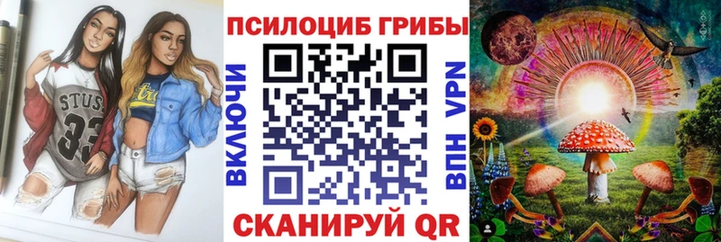 Галлюциногенные грибы Psilocybine cubensis  Удомля 